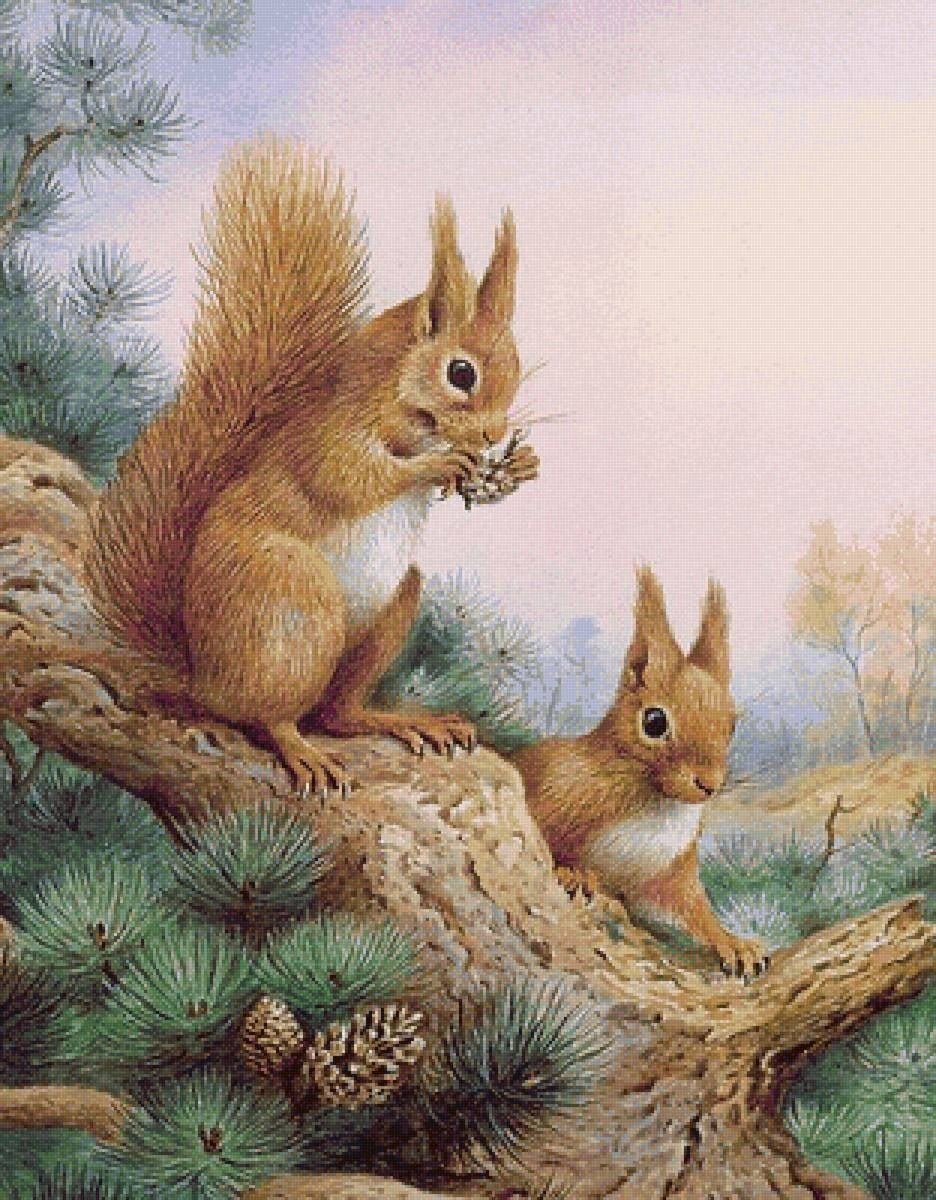 Живопись белки