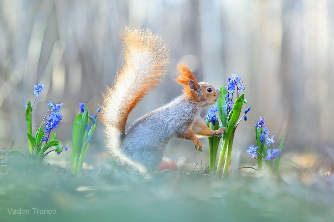 Вадим Трунов