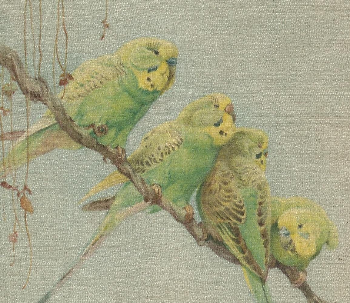 Волнистый попугай живопись