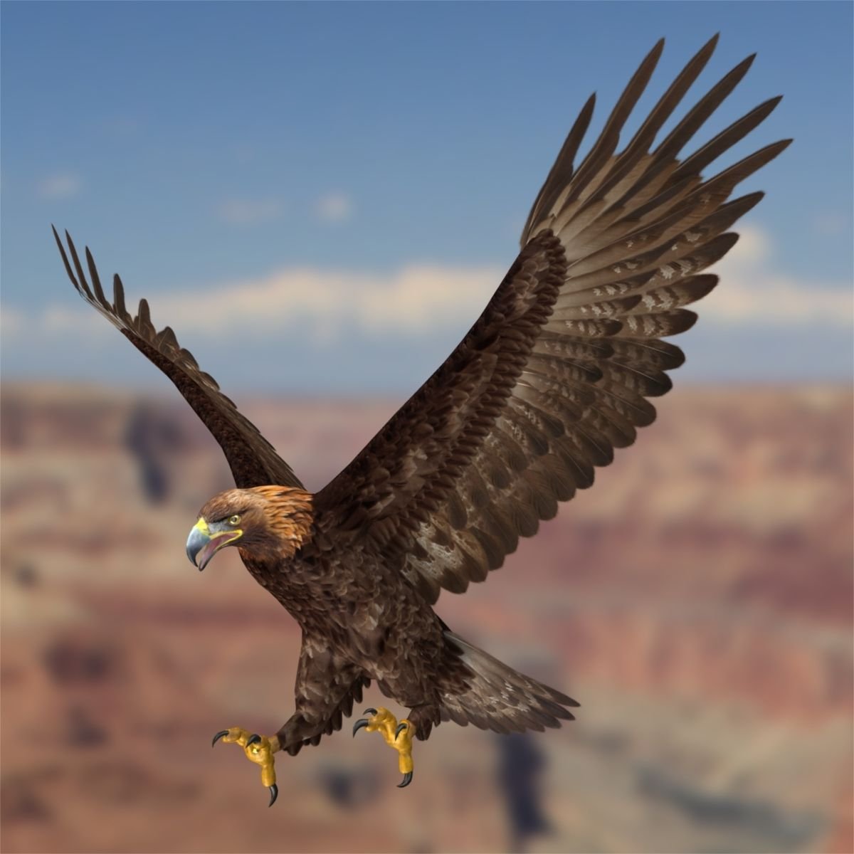 Орел Беркут