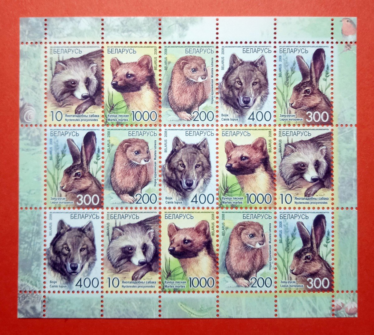 Французский бульдог с деньгами