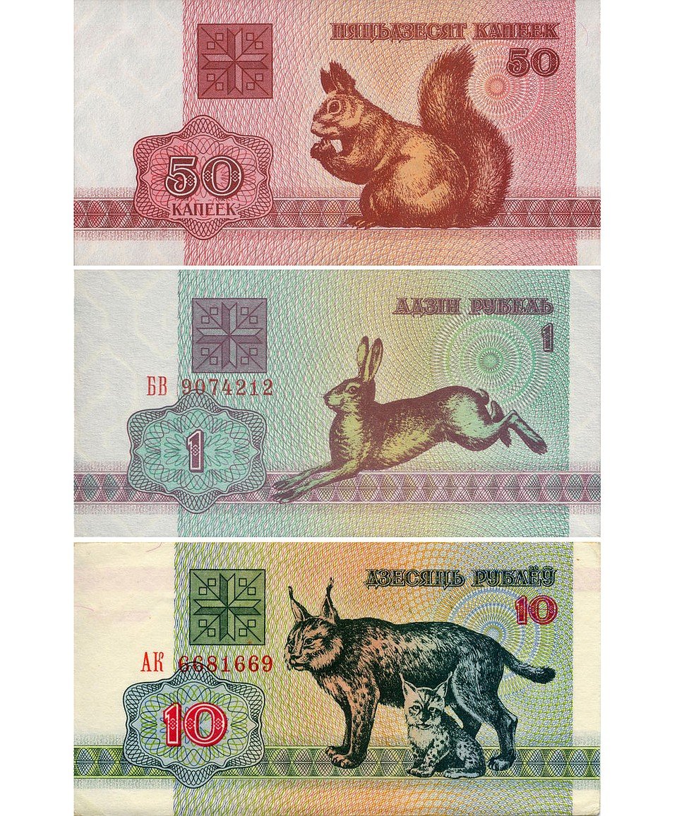 Зайцы Беларусь деньги