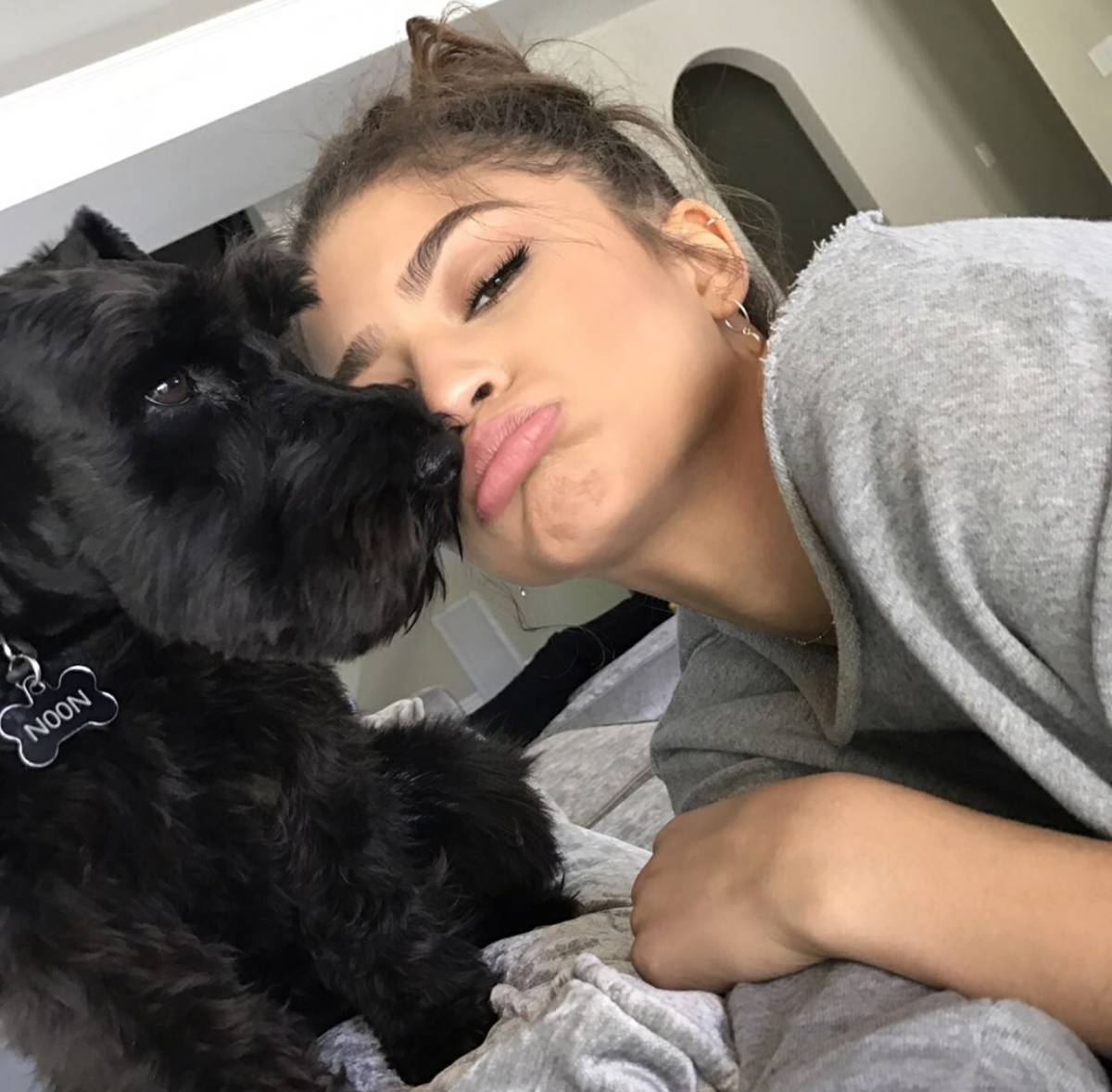 Побритая собака