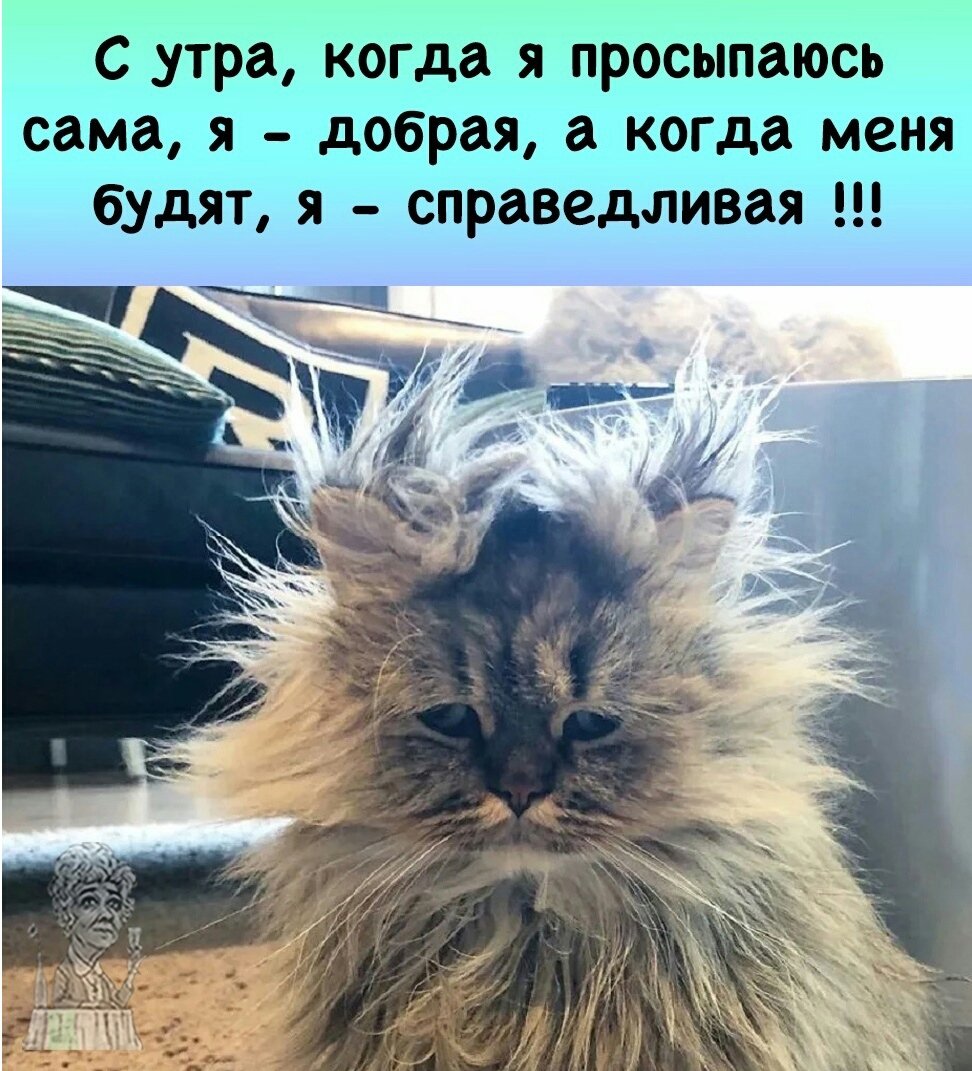 Midsomer Murders сезон 19