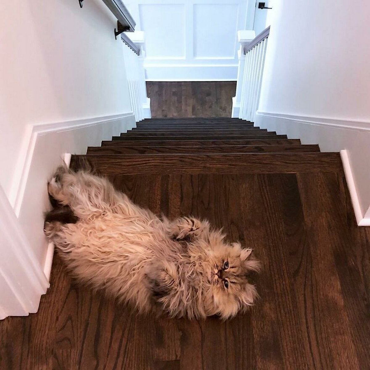 Люди похожие на Джона Сноу