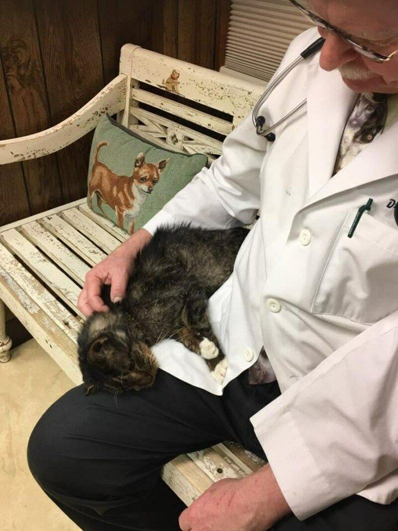 Михаил Галин и кот Виктор