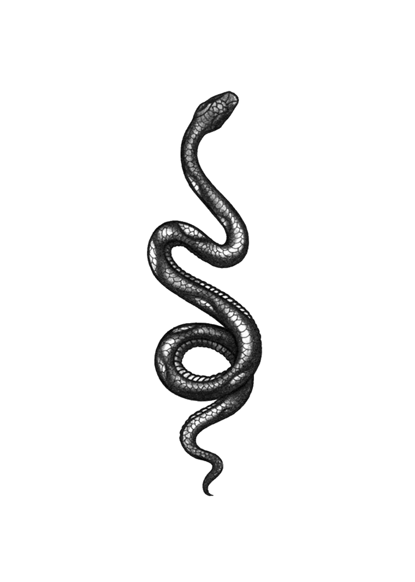 Тату змеи на белом фоне