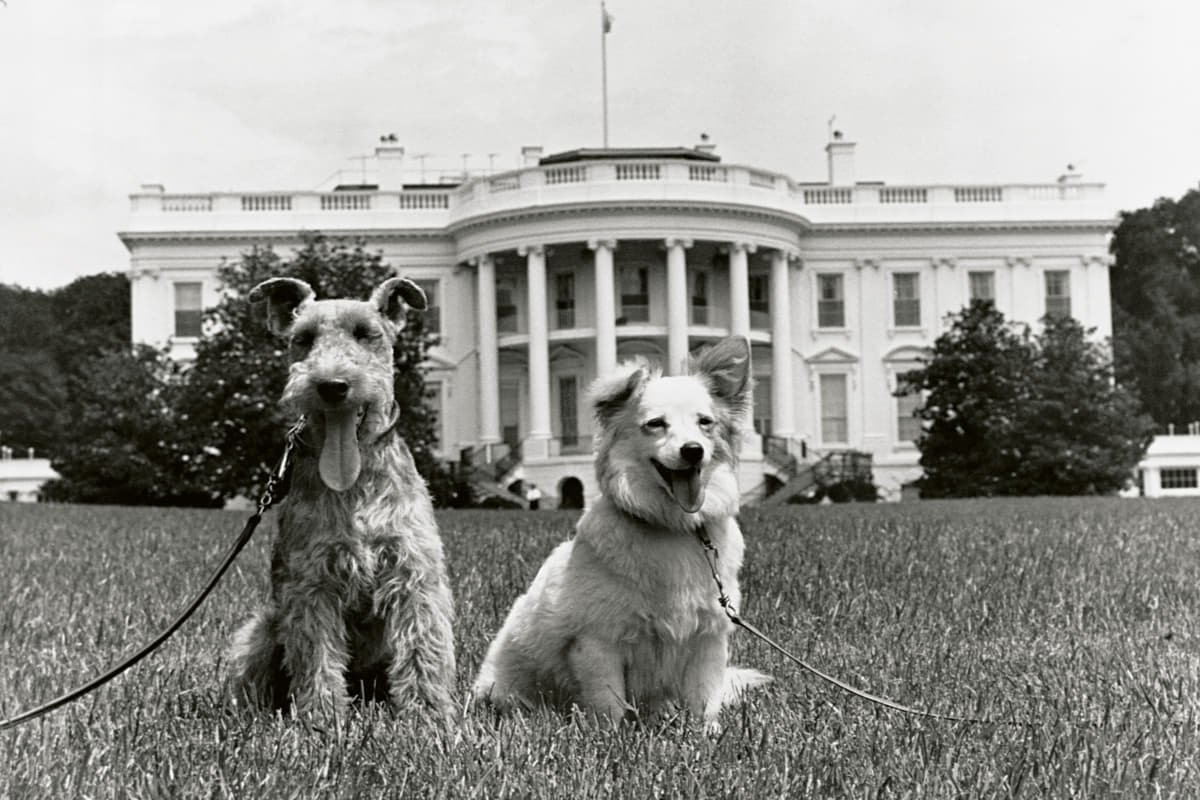 Жаклин Кеннеди с собакой