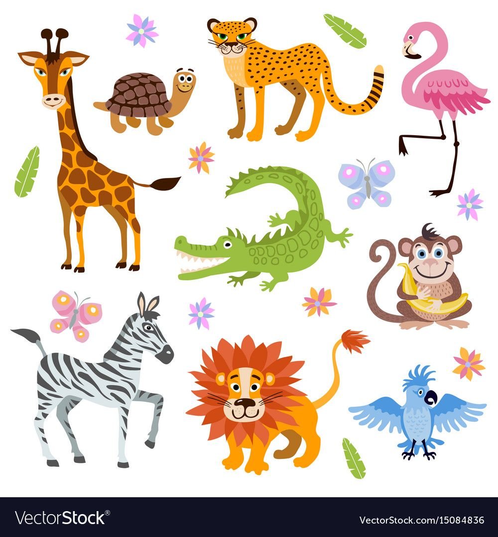 Животные джунглей для дошкольников