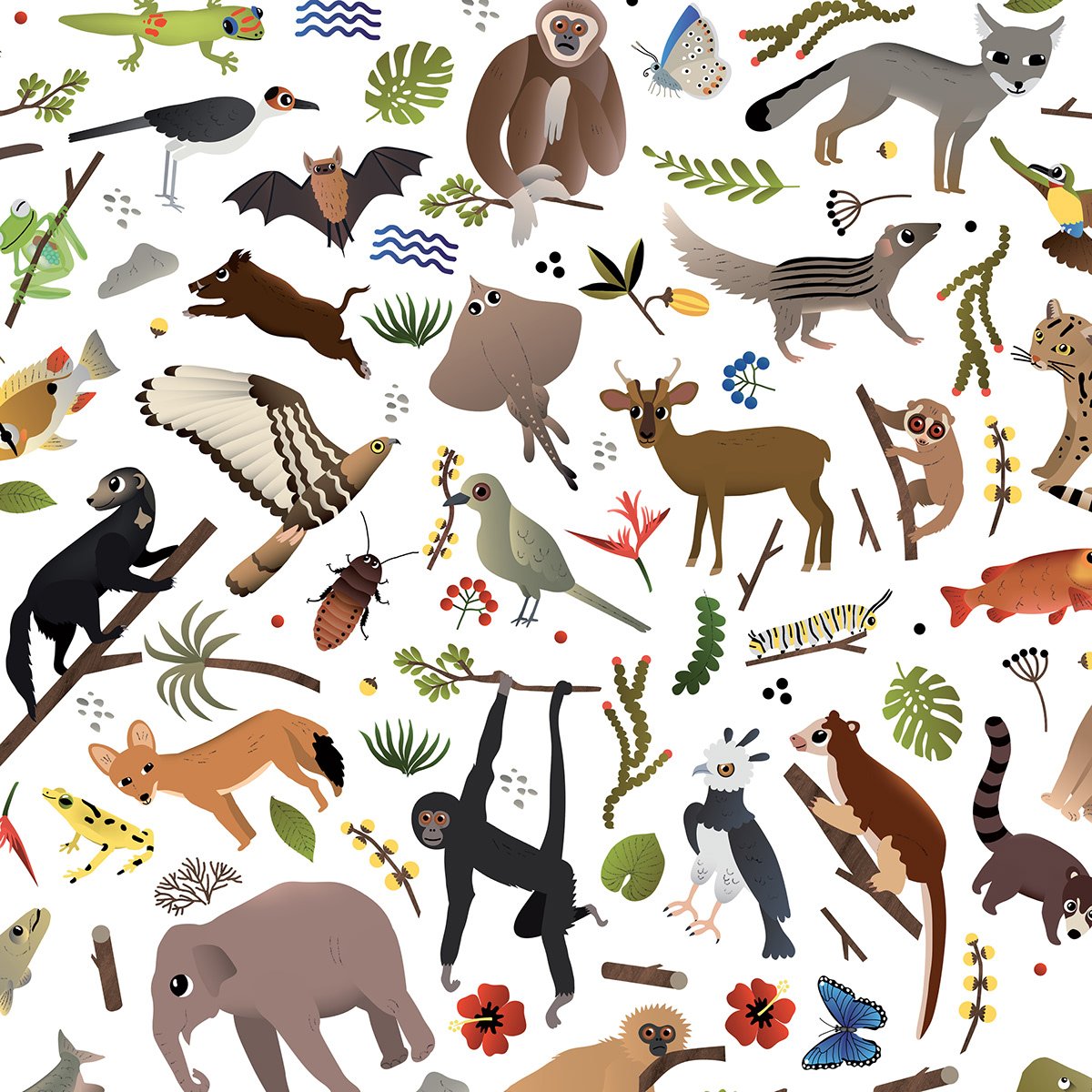 Животные джунглей карточки