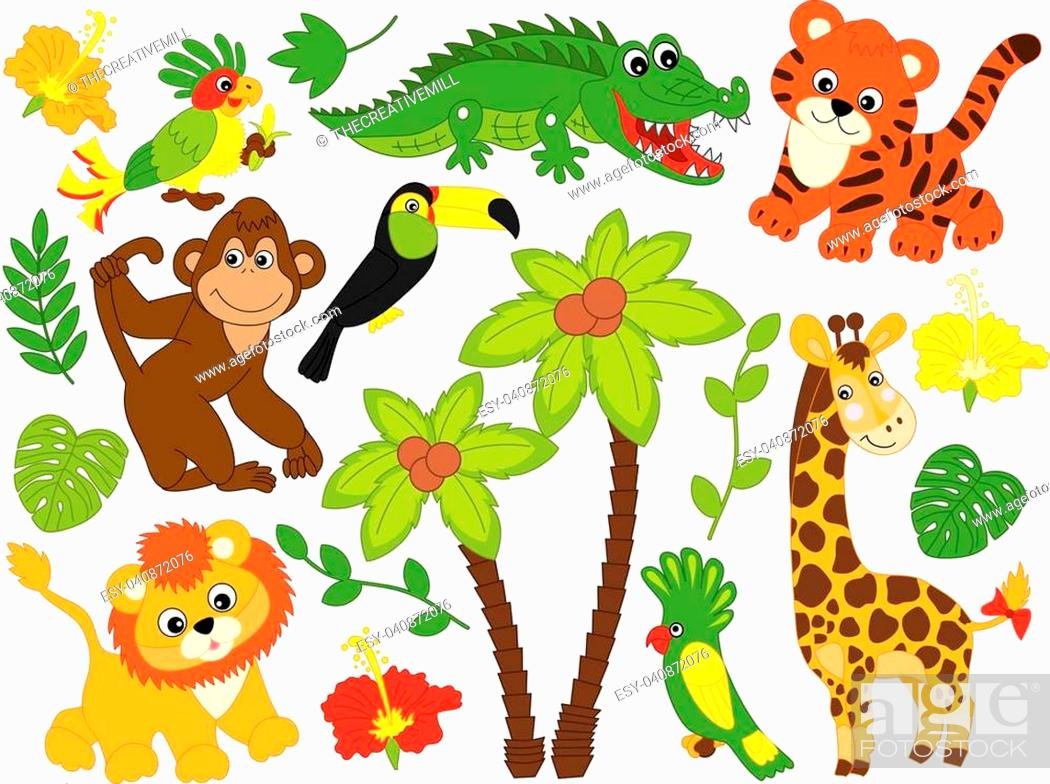 Животные джунглей для дошкольников