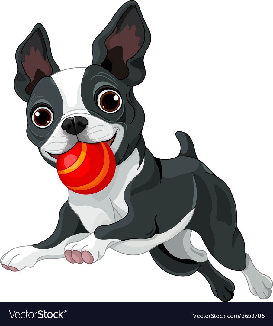 Бостон терьер эскиз