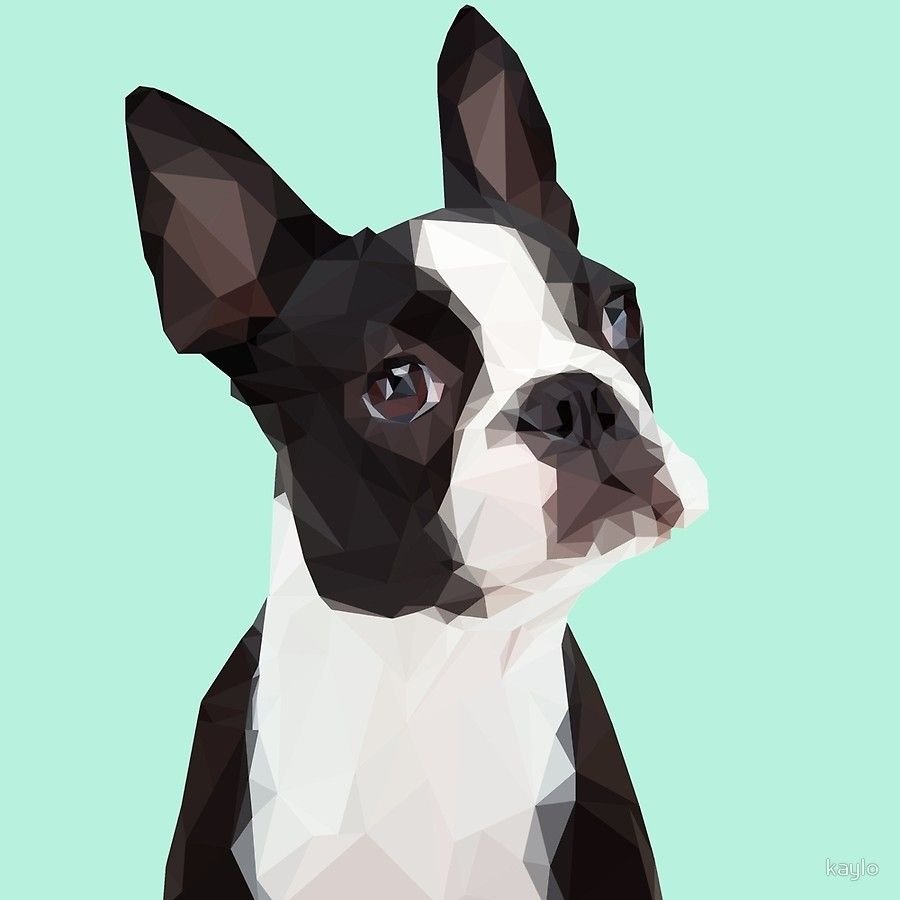 Фокстерьер и Мопс