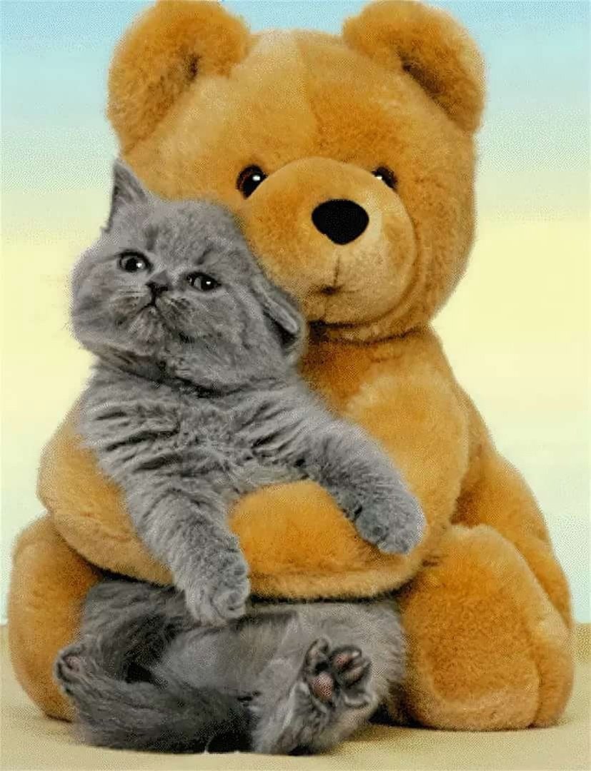 Мишки обнимашки