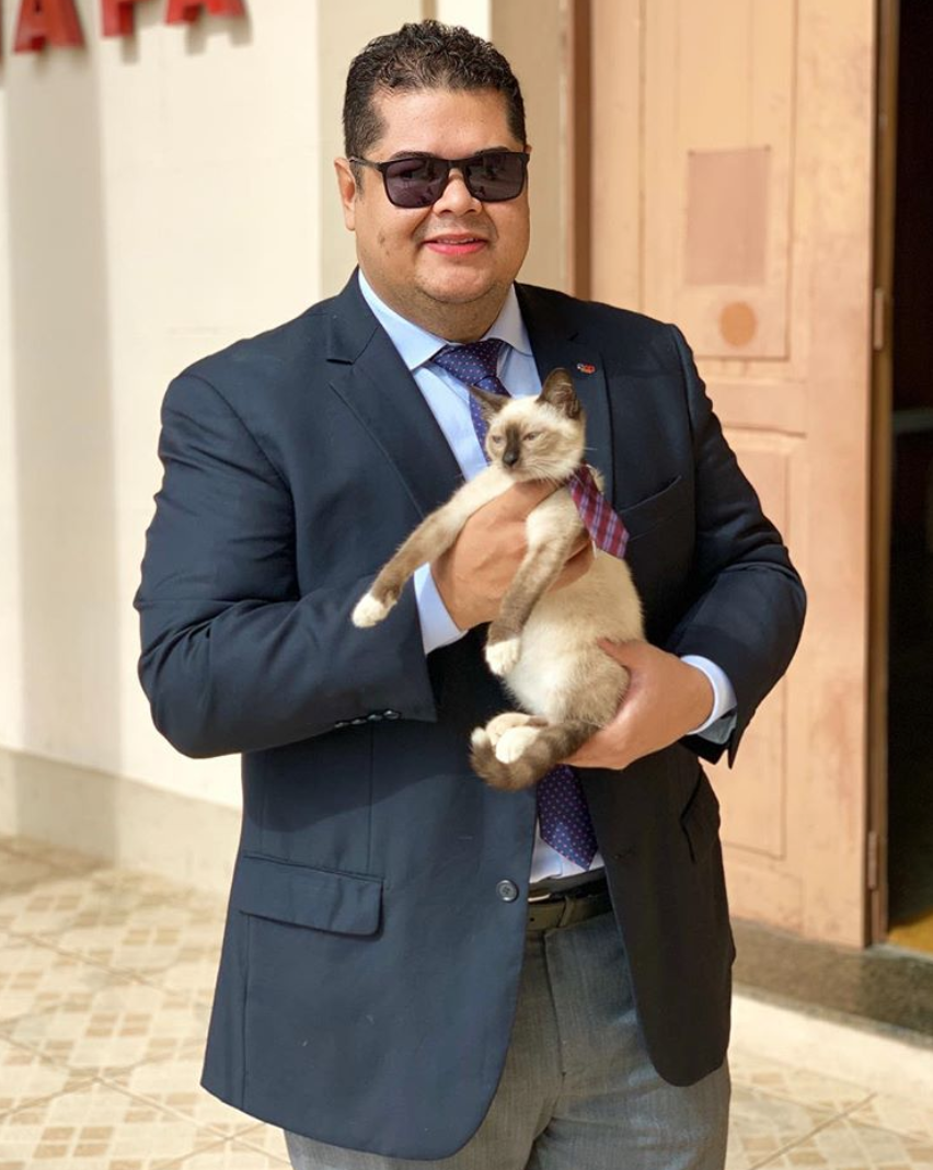 Кот на цепи