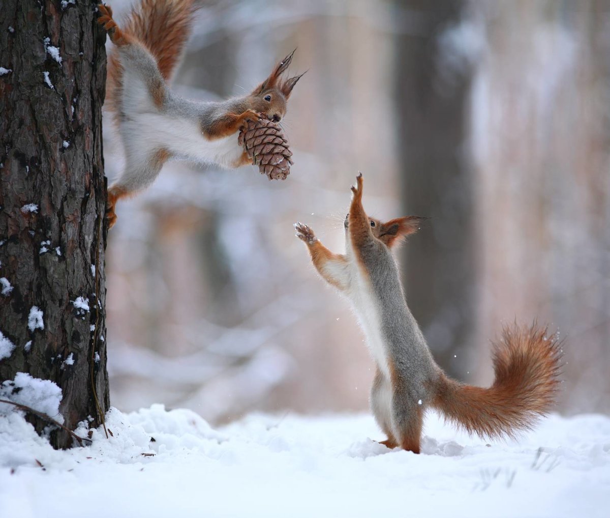 Вадим Трунов белки