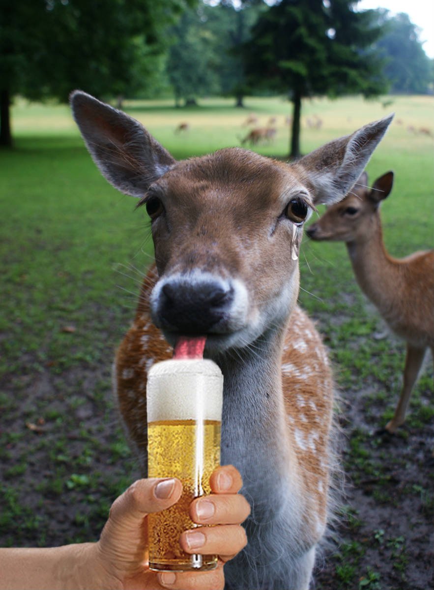 Бухой олень