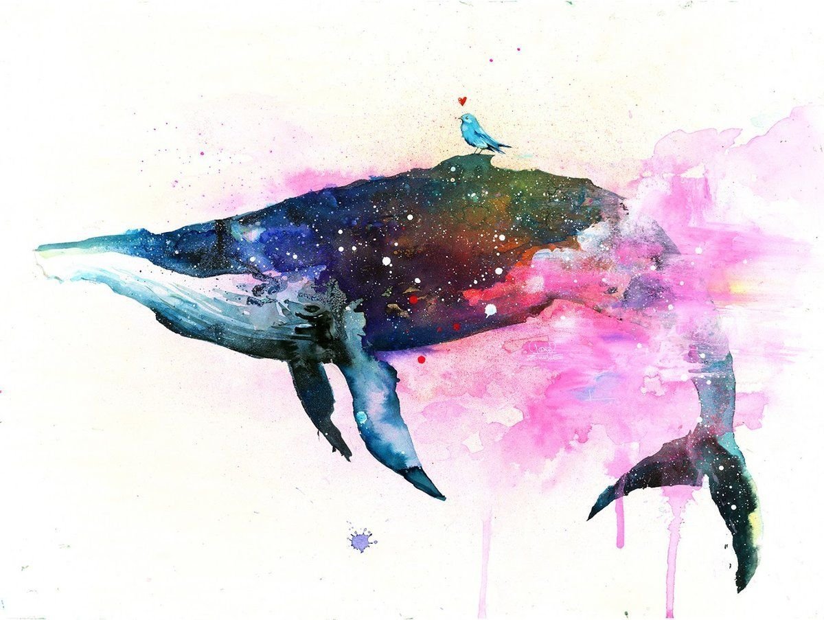 Касатка узор