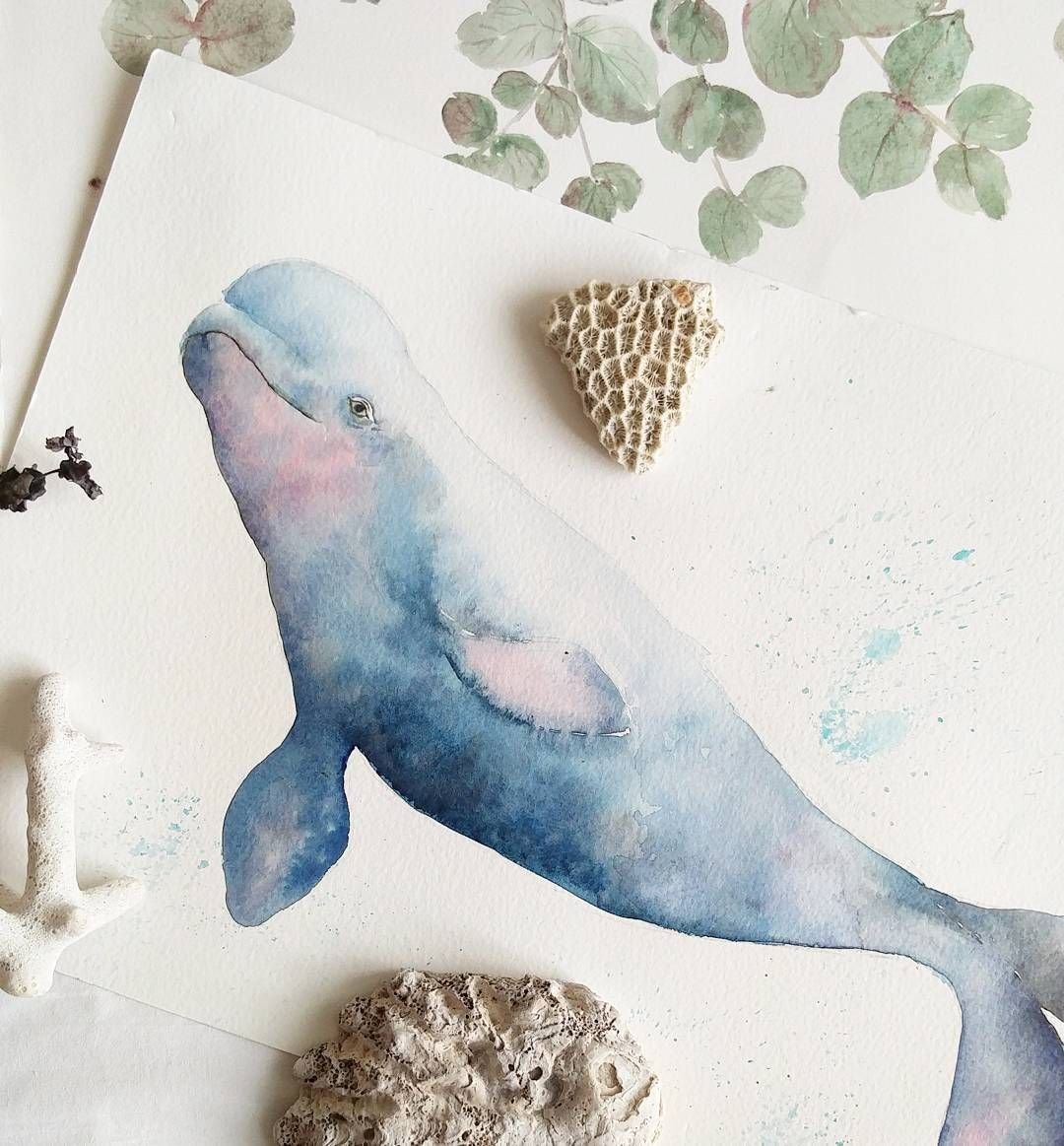 Касатка на прозрачном фоне