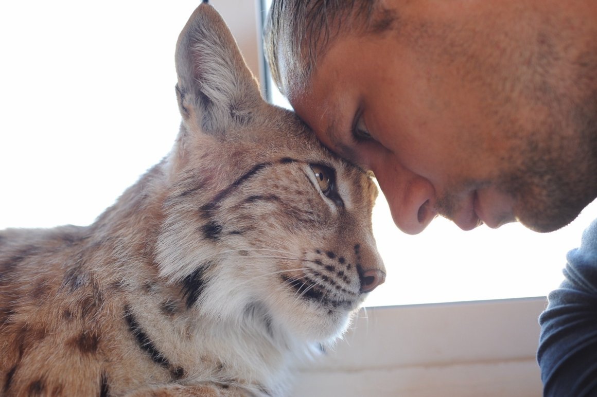 Мейн кун и Ориентал