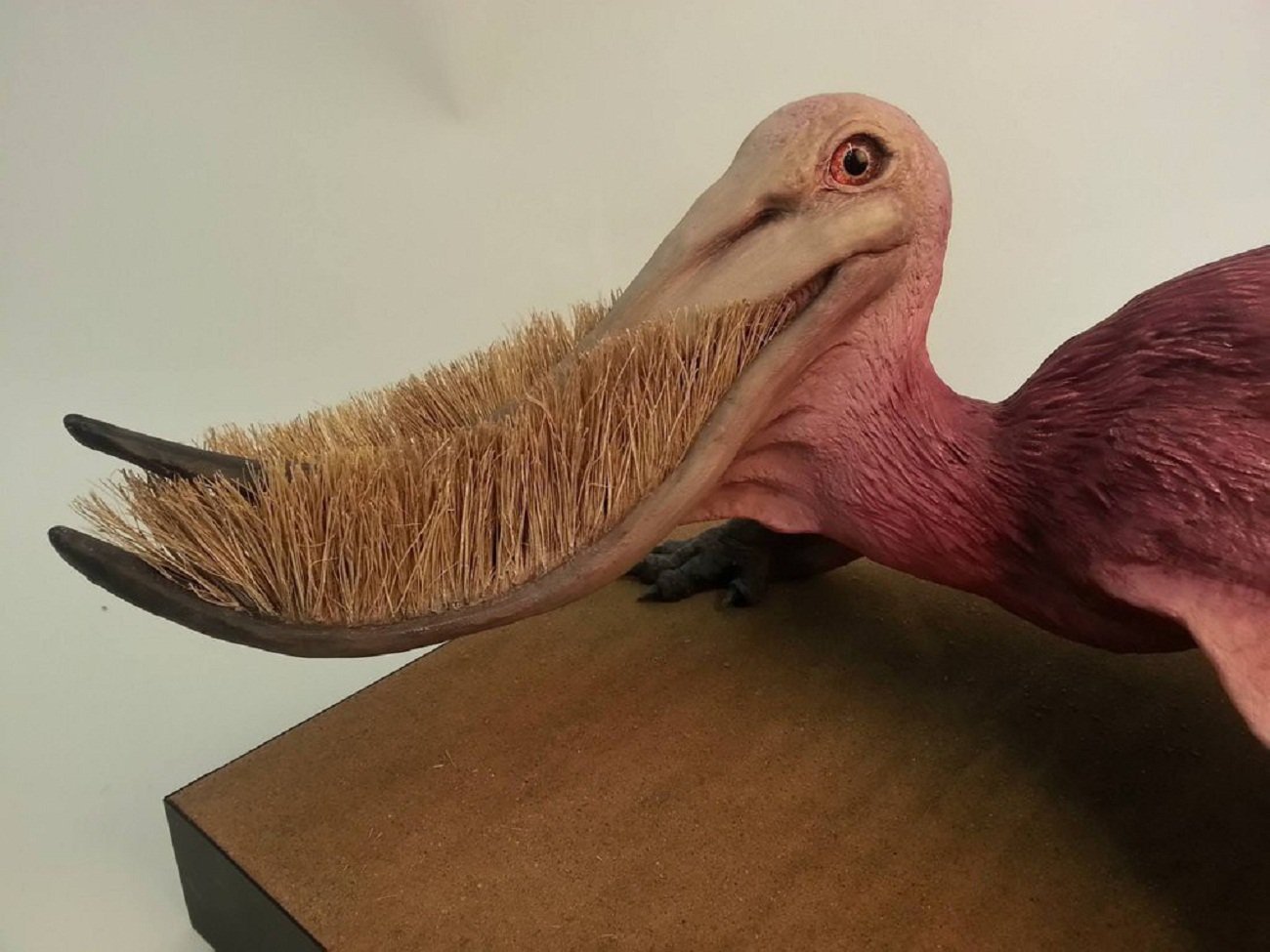 Жуткие птицы. Странные птицы. Необычные животные древности. Динозавр с клювом. Птица похожая на динозавра.