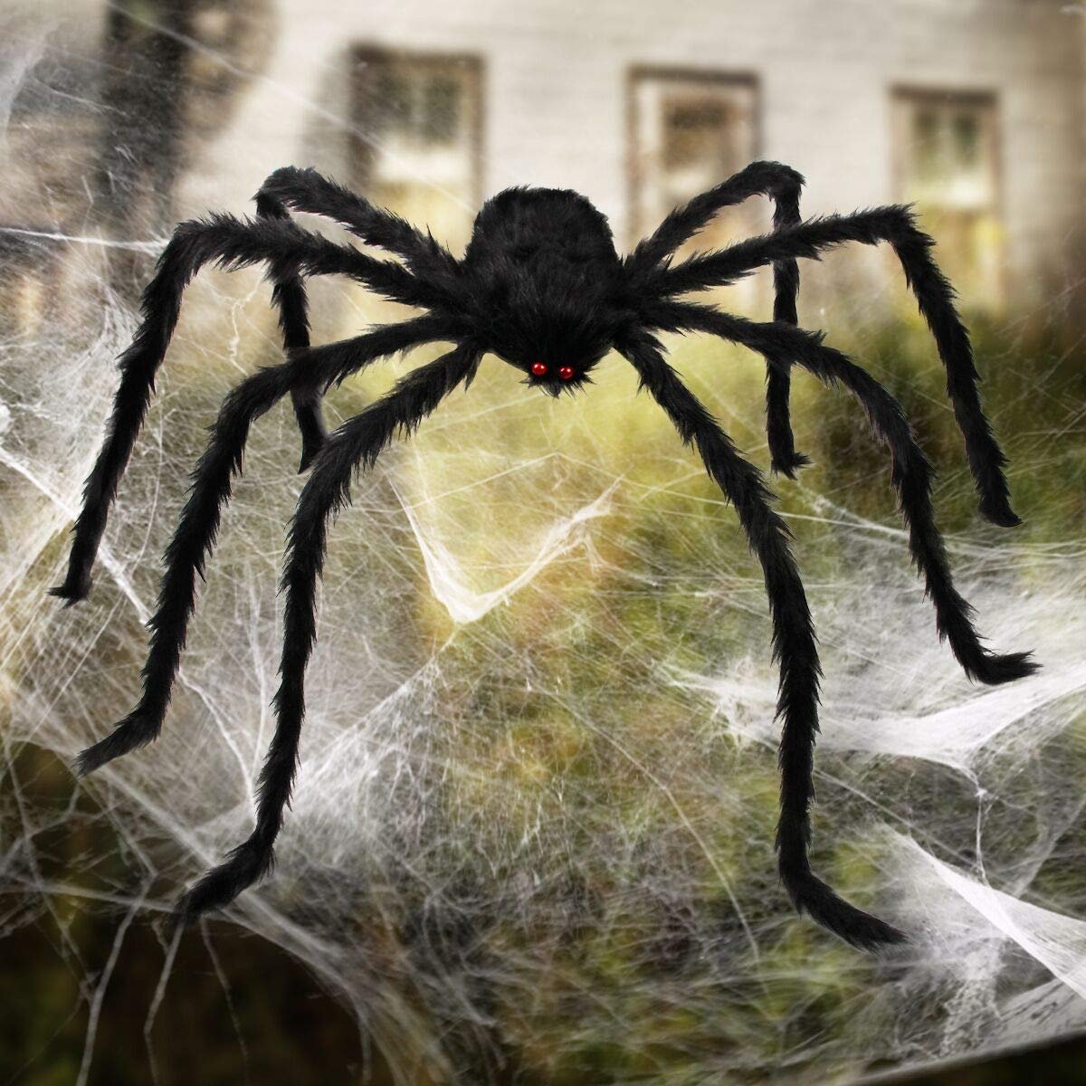 Паук Тарантул черная вдова