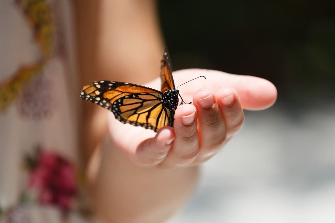 Надежда Гаврилес