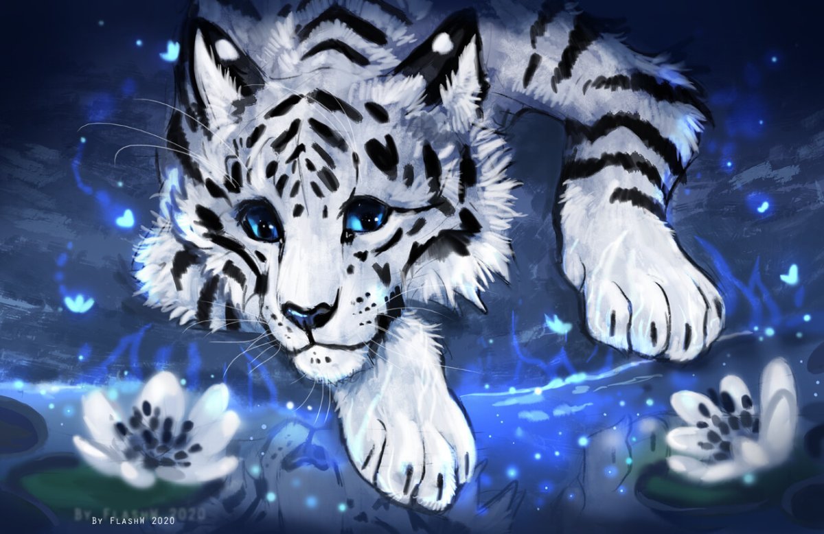 Белый тигр с голубыми глазами