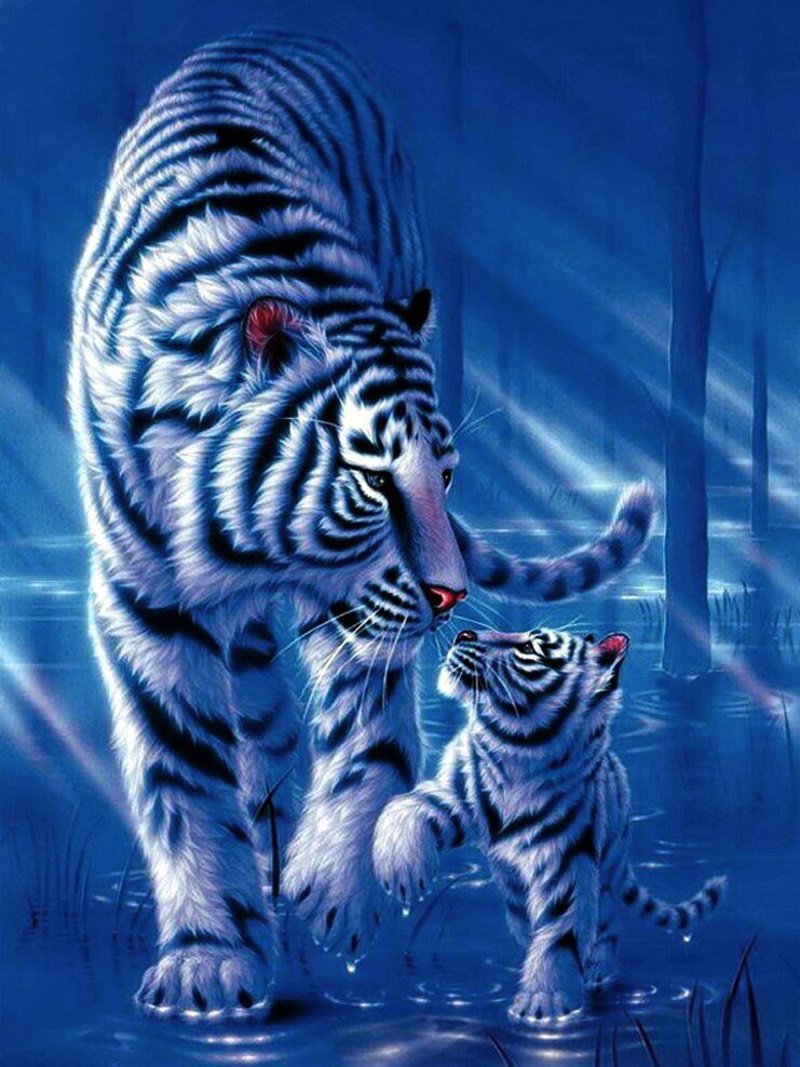 Картины японского художника Kentaro Nishino