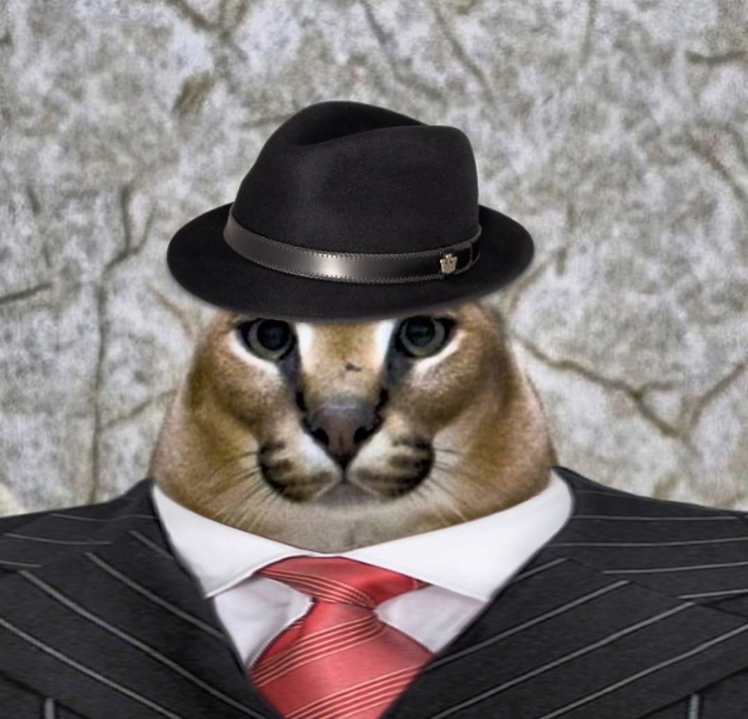 Шлёпа босс мафии кот