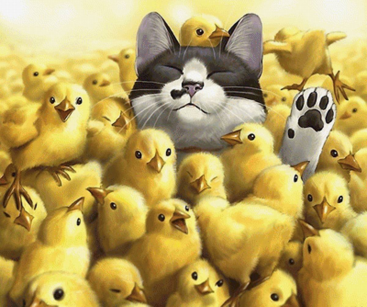 Много цыплят