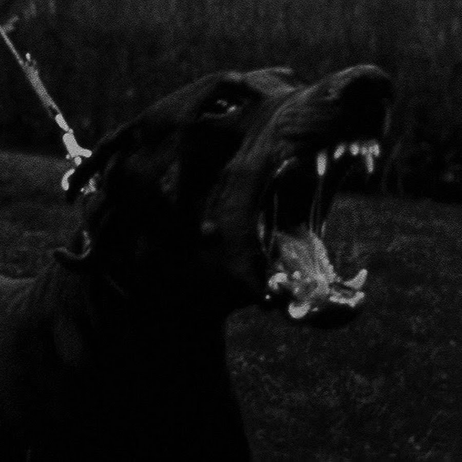 Пасть собаки Доберман