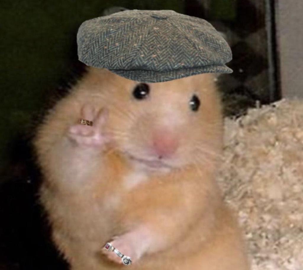 У хомяков уменьшаются яички