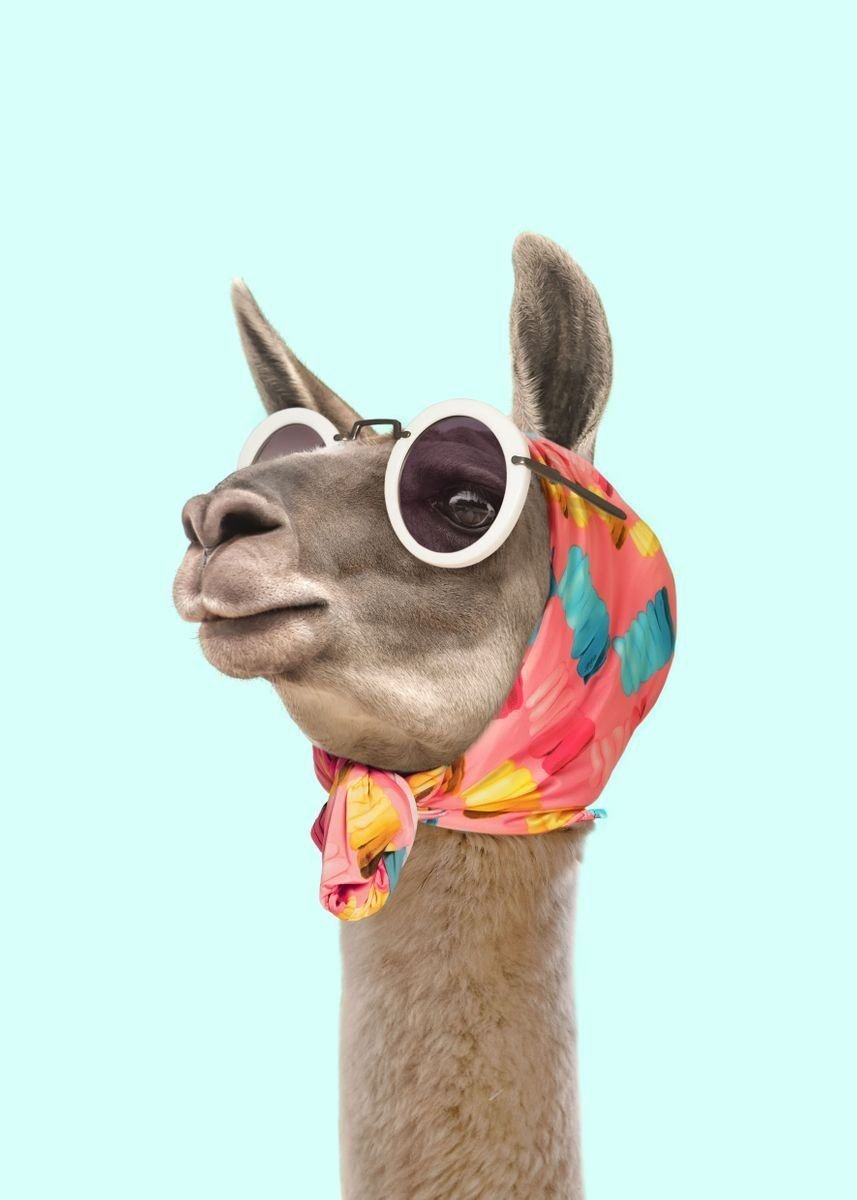 Лама в очках
