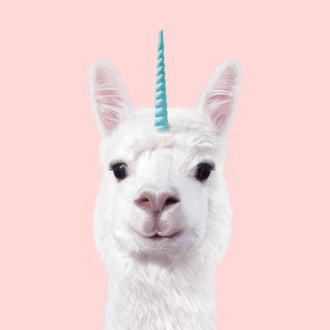 Лама с рогами