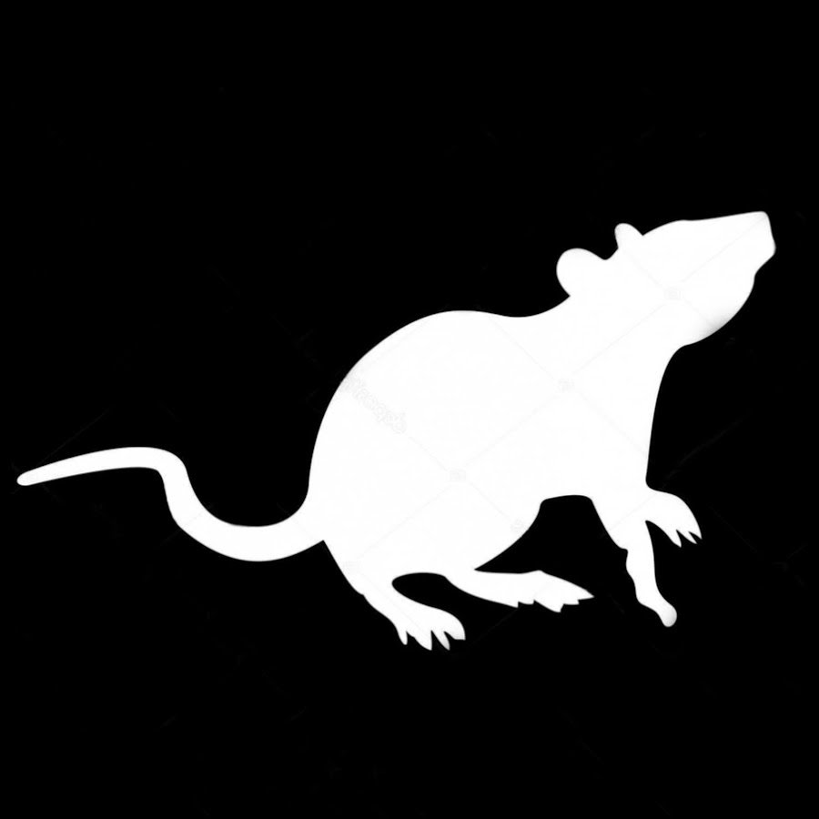 Силуэт крысы на белом фоне