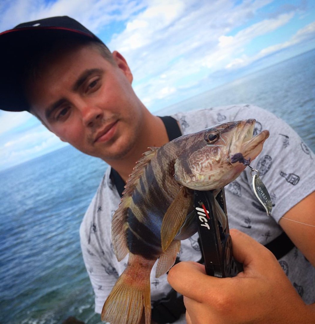 Рыба Тригла морской петух