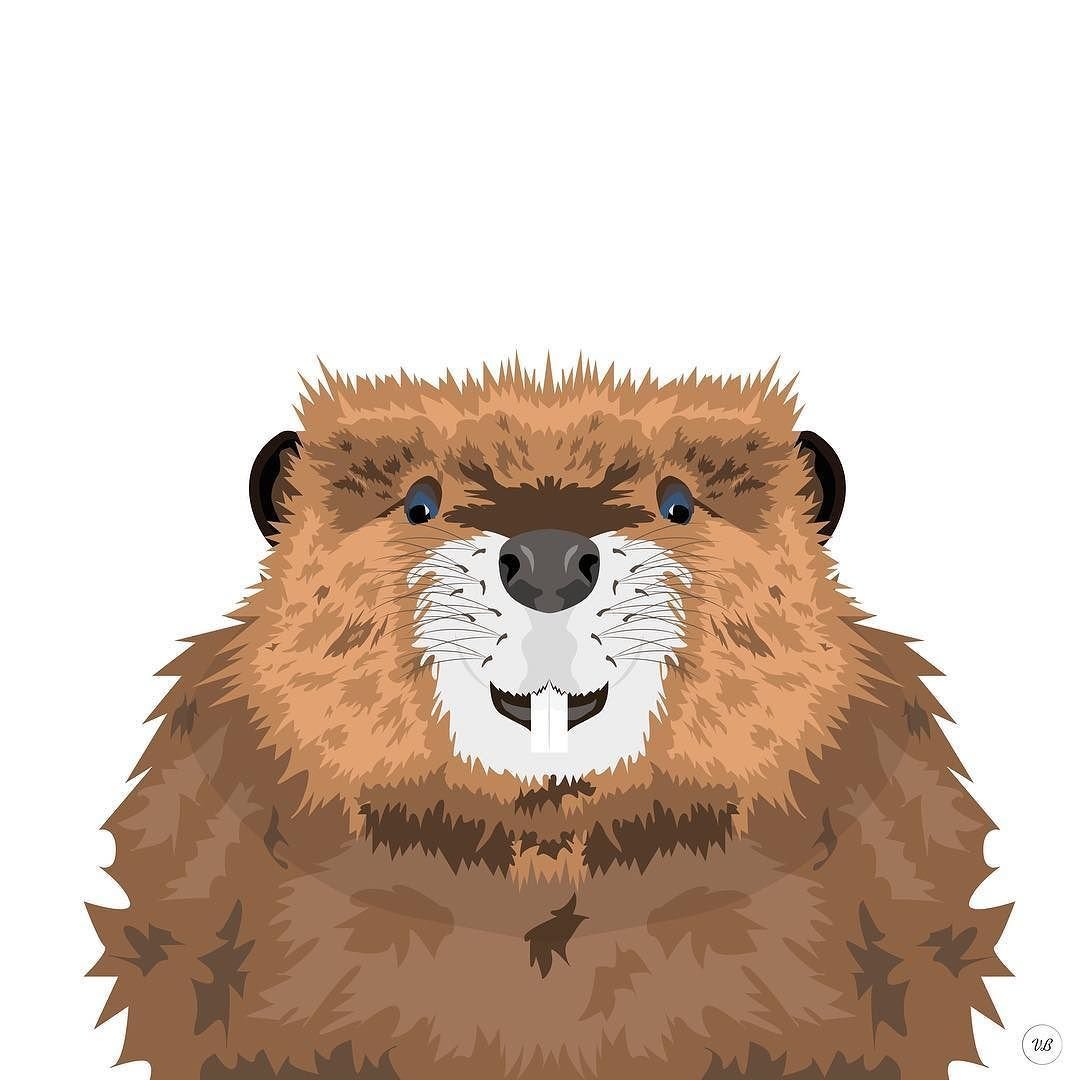 Капибара и суслик