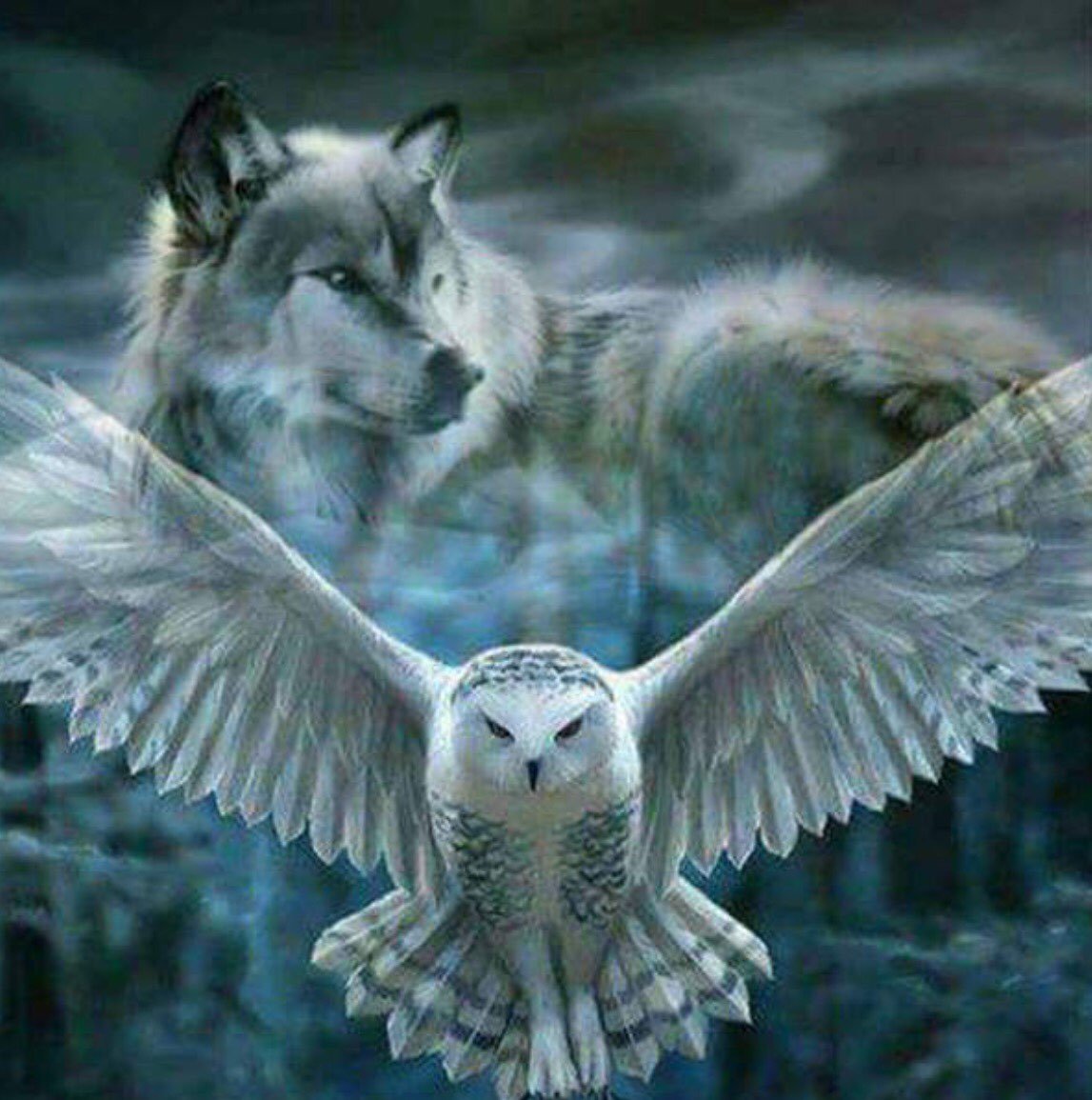 Волк и Филин