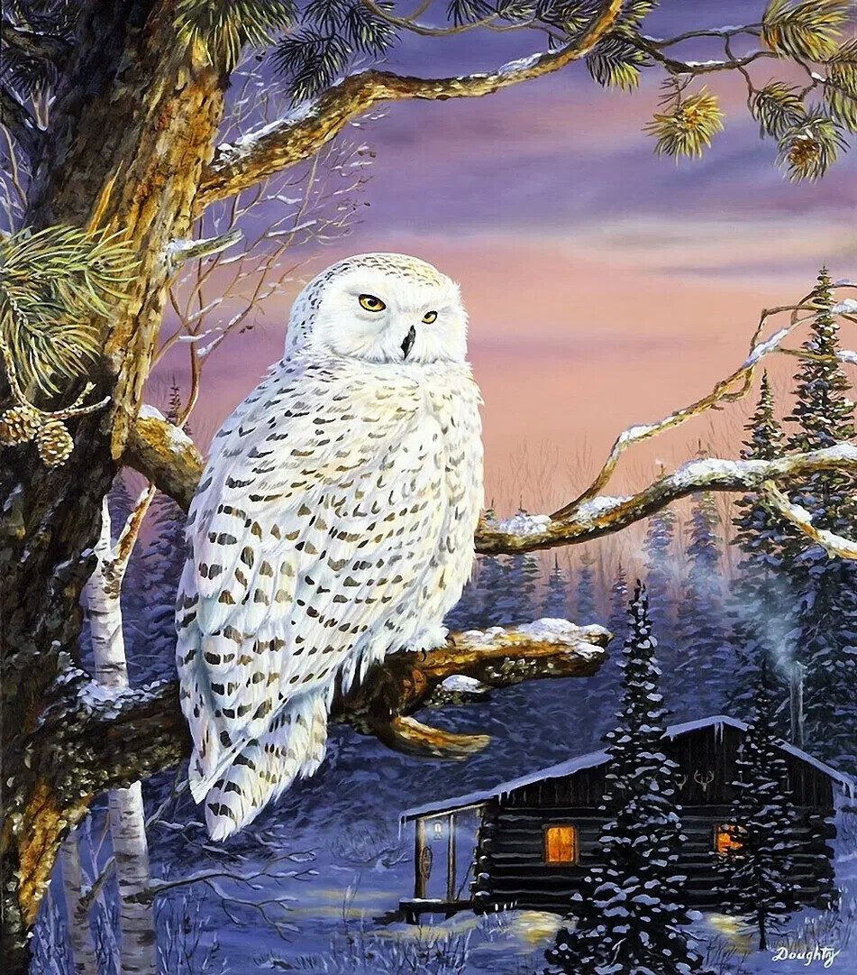 Terry Doughty картины