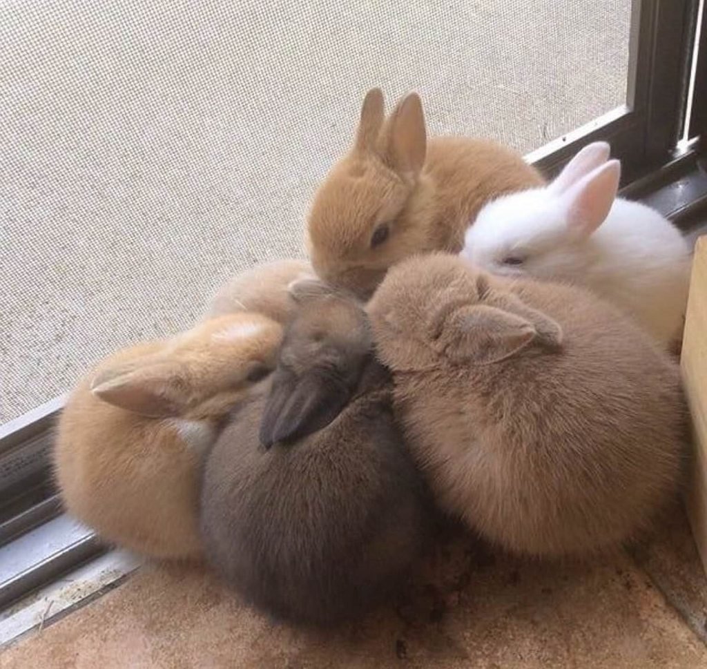 Милые картинки