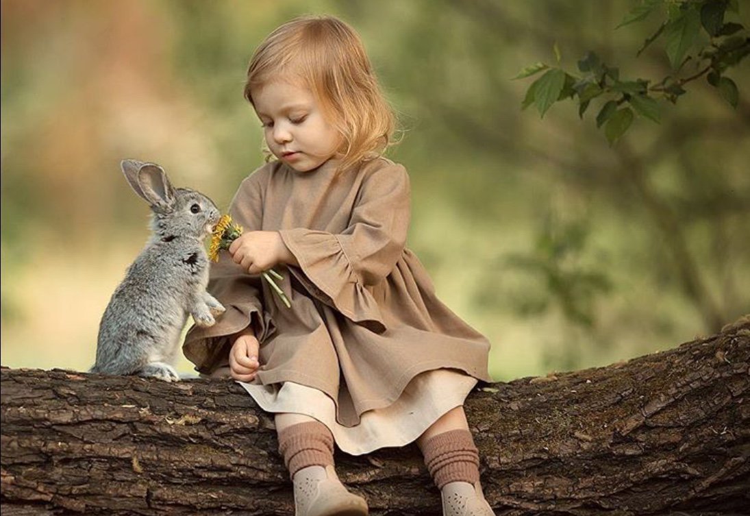 Новорожденный крольчонок