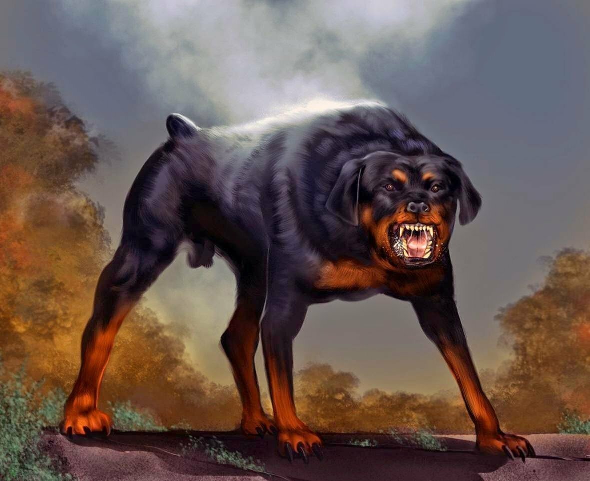 Доберман-пинчер оскал