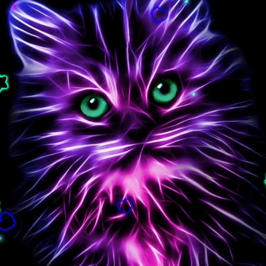 Фиолетовая кошка