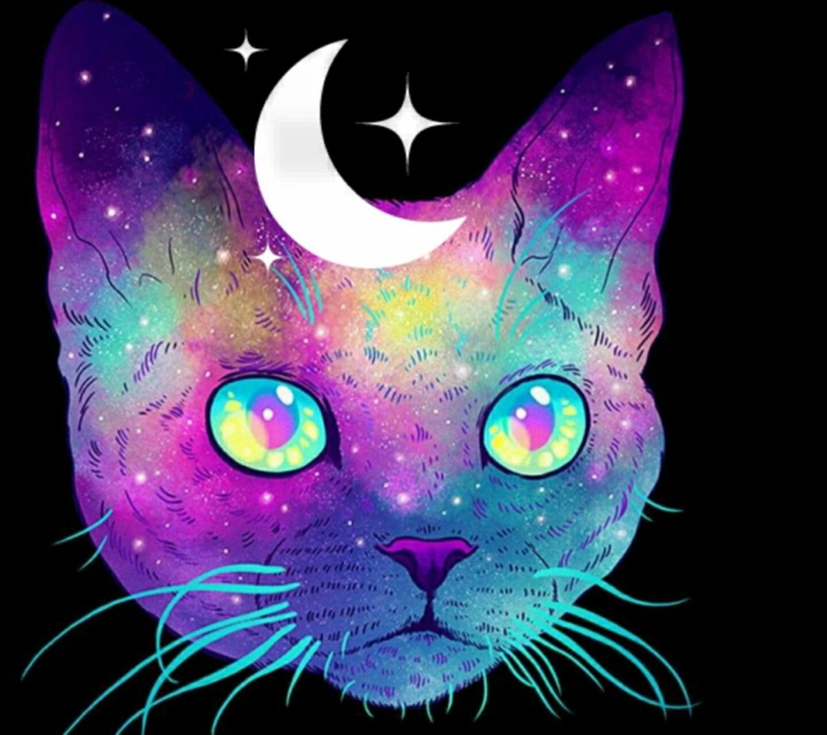 Космический кот