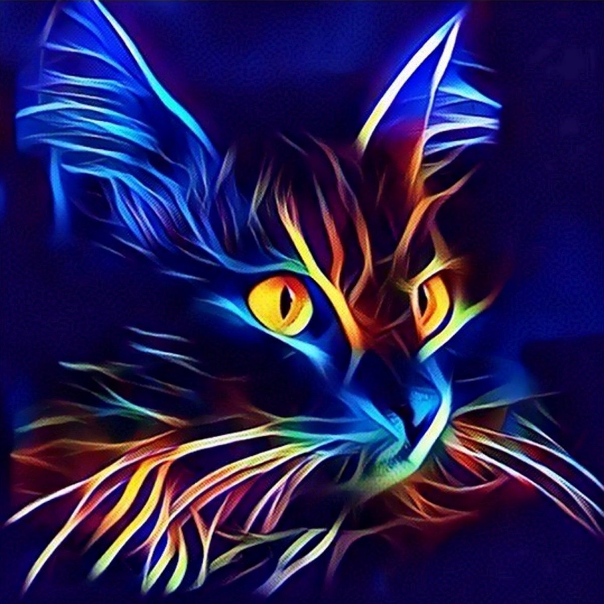 Светящиеся кошки