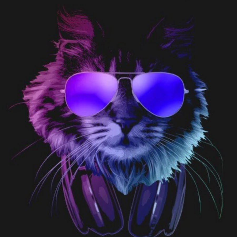 Неоновый кот в очках