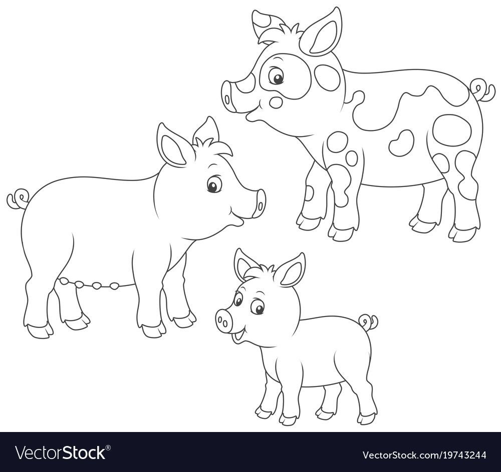 Милая Свинка