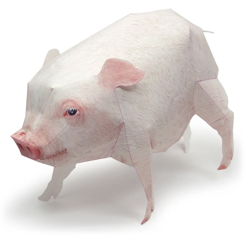 Поросёнок мини Пиг