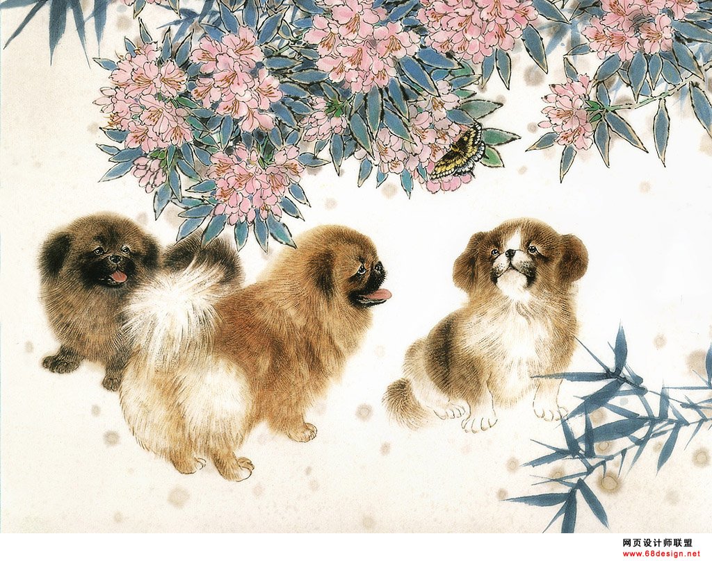 Пекинес Императорский картины